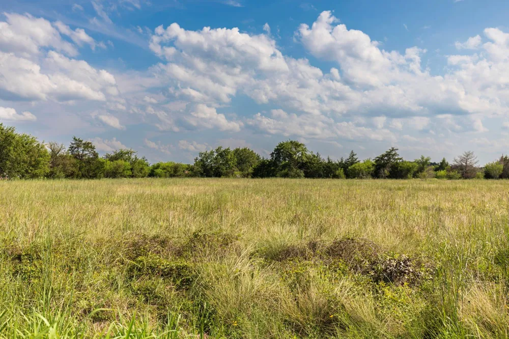 Langberg Road Bellville, TX 77418