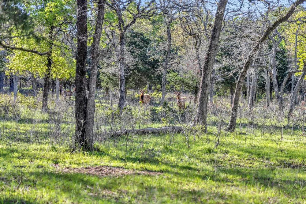 1692 E Highway 79 Rockdale, TX 76567