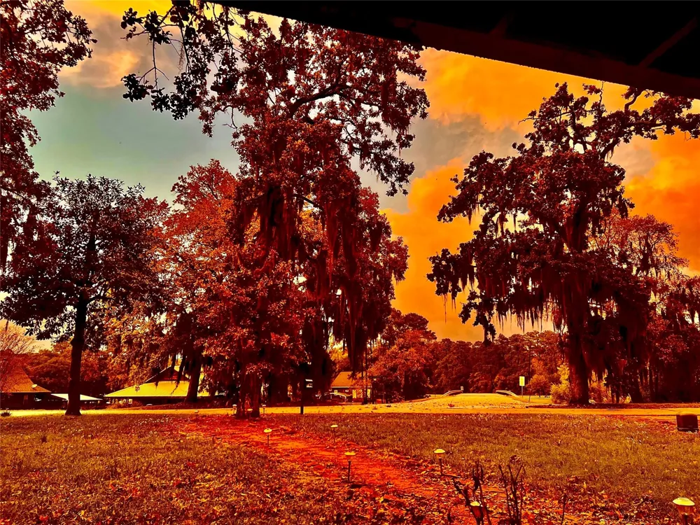 15 Oakwood Lane Huntsville, TX 77340