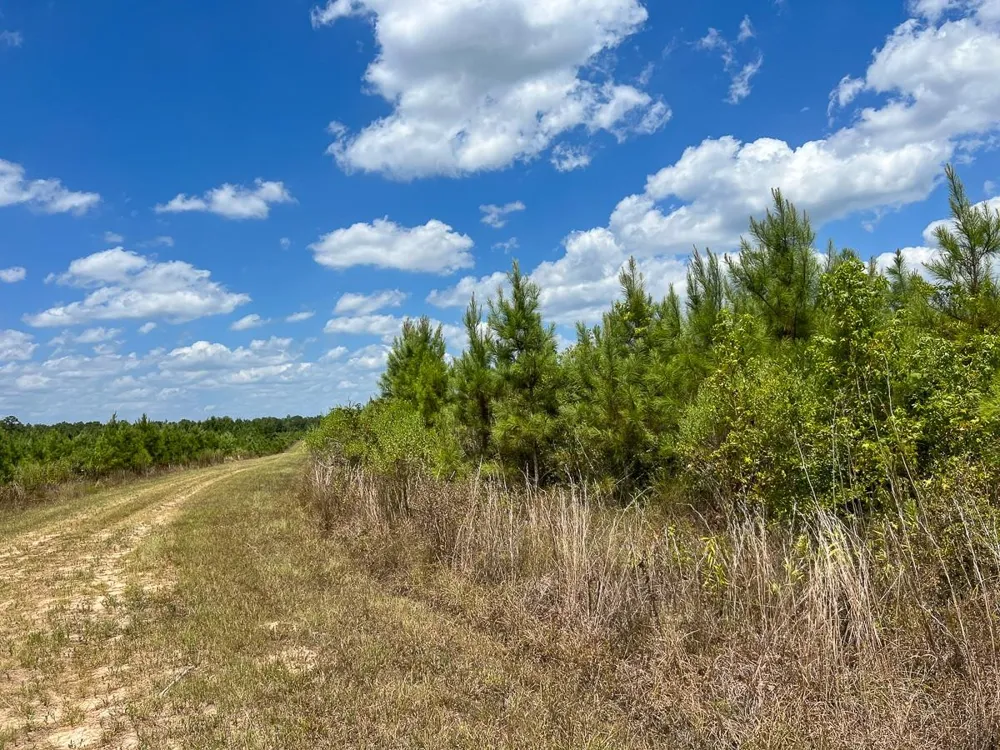 Us 69 Warren, TX 77664