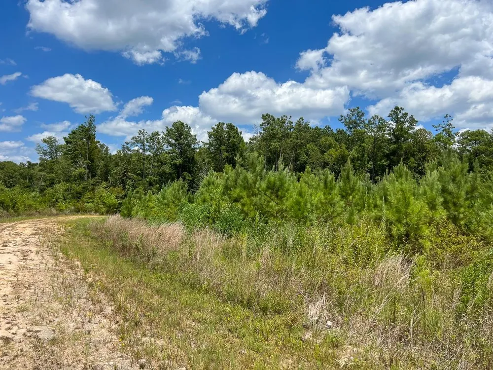 Us 69 Warren, TX 77664