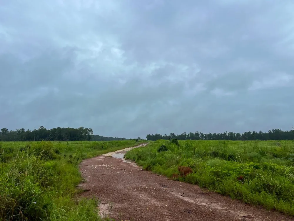 5 Sunflower Road Dallardsville, TX 77351