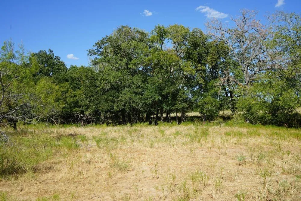 1 Cr 236a Milano, TX 76556