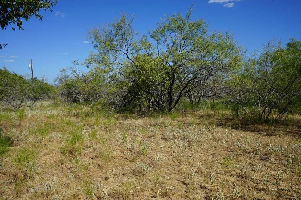 1 Cr 236a Milano, TX 76556