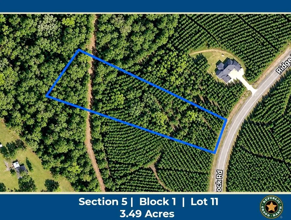 15699 Ridge Rock Road Willis, TX 77378
