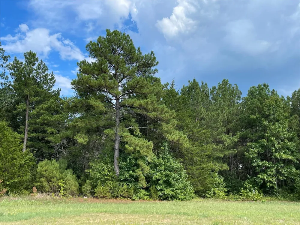 15699 Ridge Rock Road Willis, TX 77378