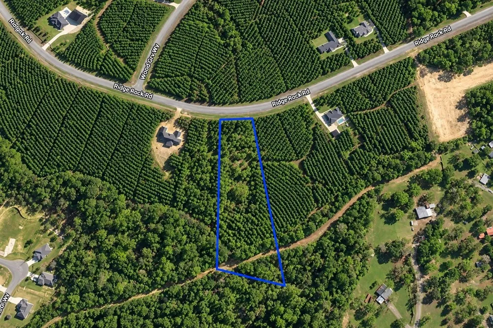 15699 Ridge Rock Road Willis, TX 77378