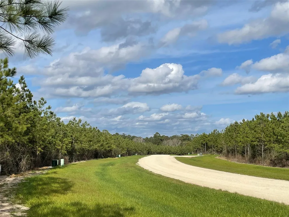 15699 Ridge Rock Road Willis, TX 77378