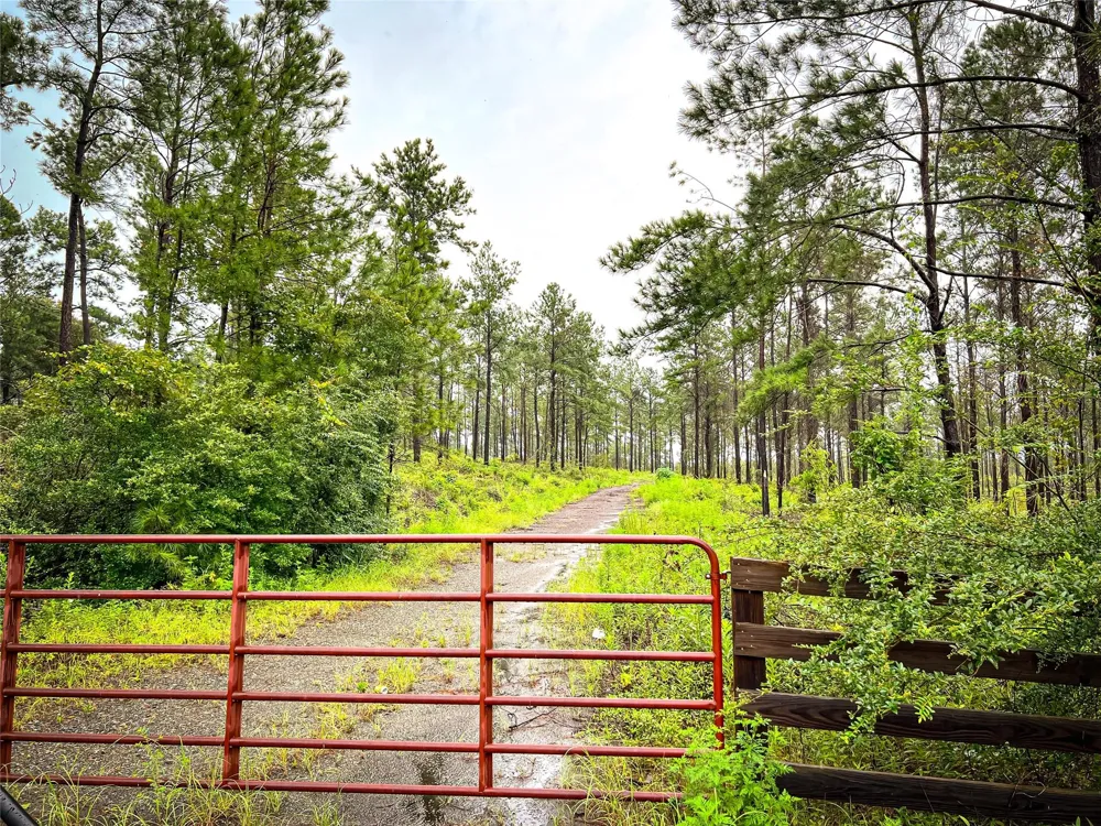 4 Cr 257 / Cr 258 Jasper, TX 75951