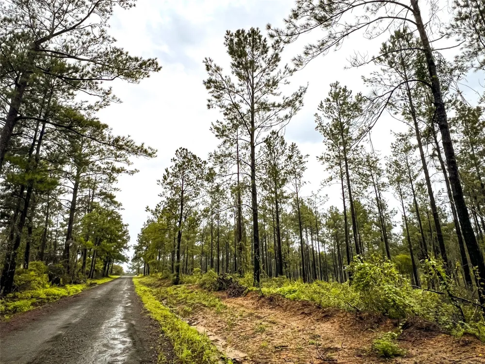 1 Cr 257 Jasper, TX 75951