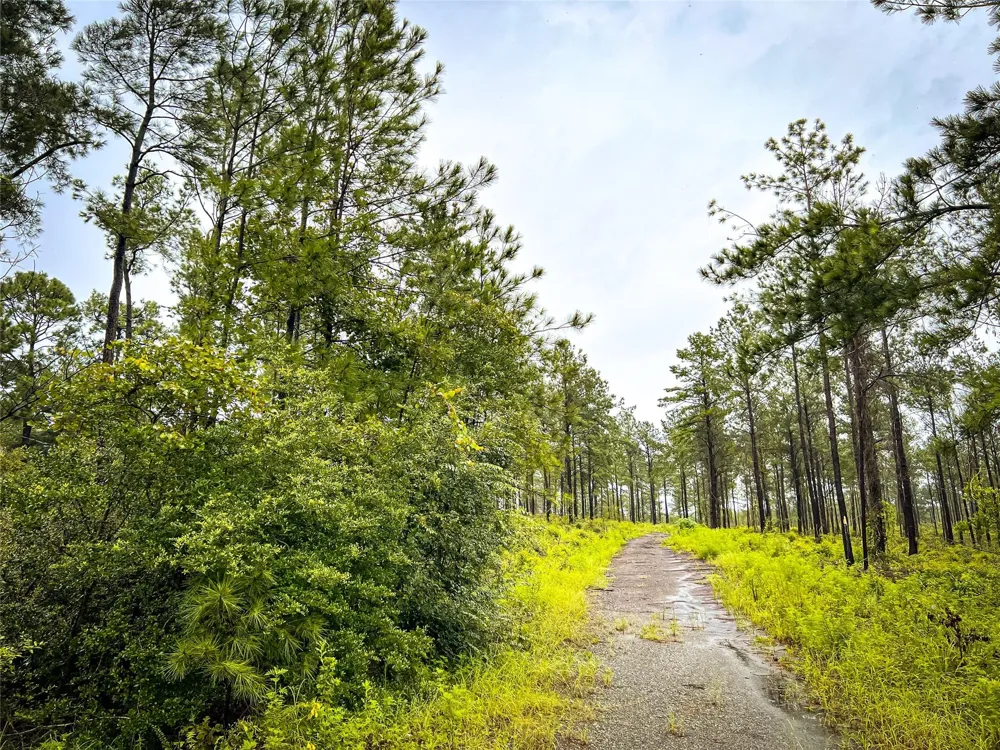 1 Cr 257 Jasper, TX 75951