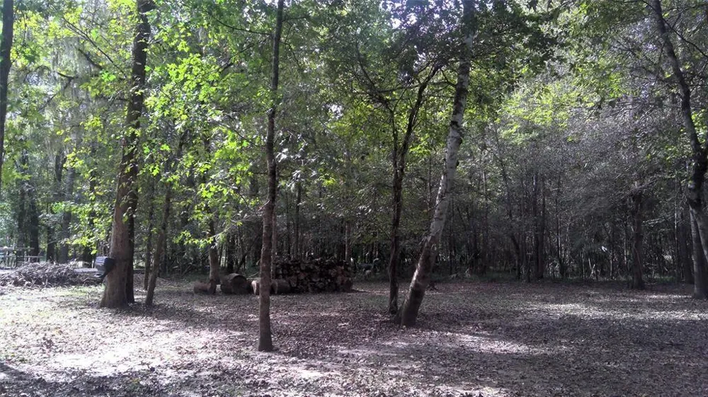 61 Shoreline Drive Cleveland, TX 77327