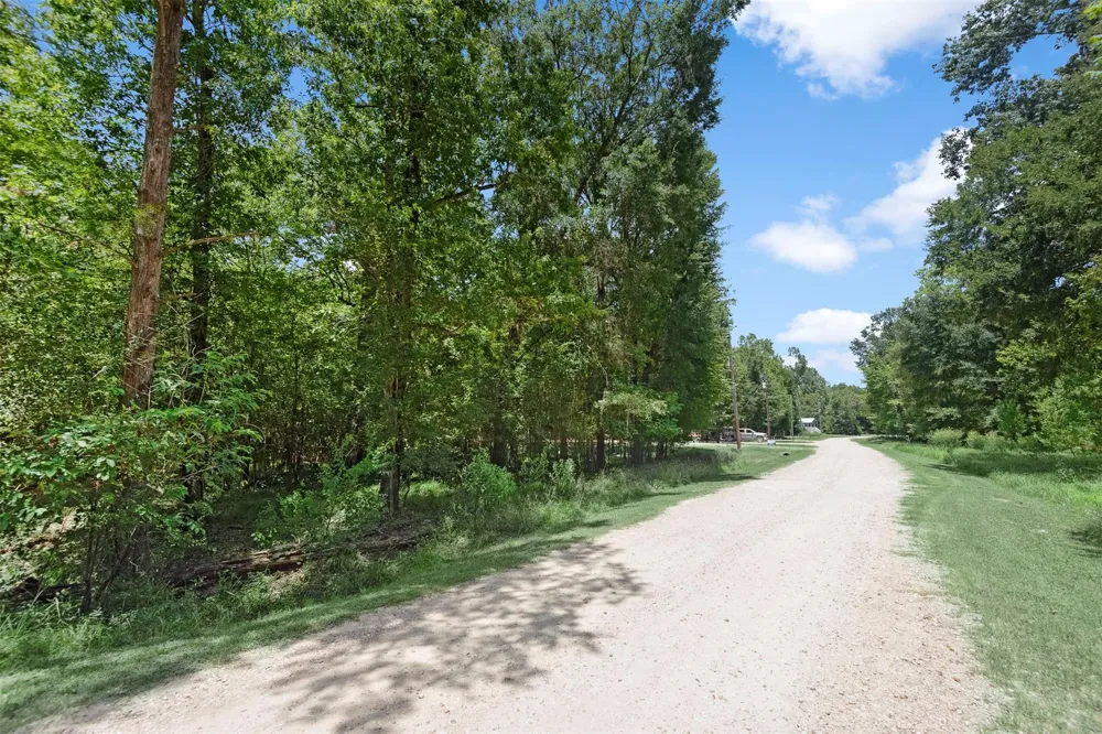 61 Shoreline Drive Cleveland, TX 77327