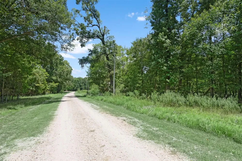 61 Shoreline Drive Cleveland, TX 77327