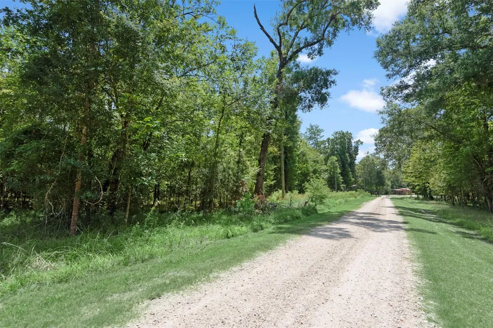 61 Shoreline Drive Cleveland, TX 77327
