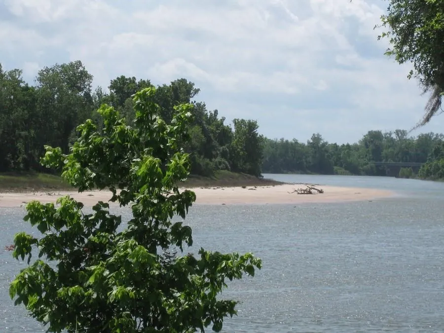61 Shoreline Drive Cleveland, TX 77327