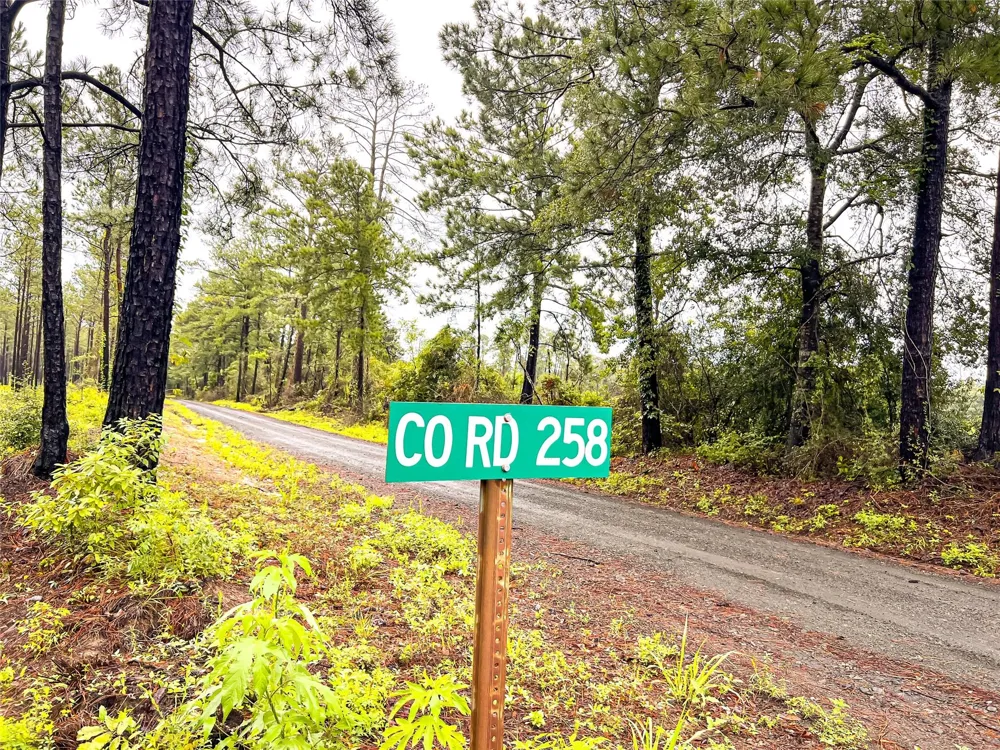 3 Cr 257 / Cr 258 Jasper, TX 75951