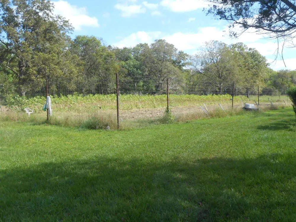 6435 County Road 42 Rosharon, TX 77583