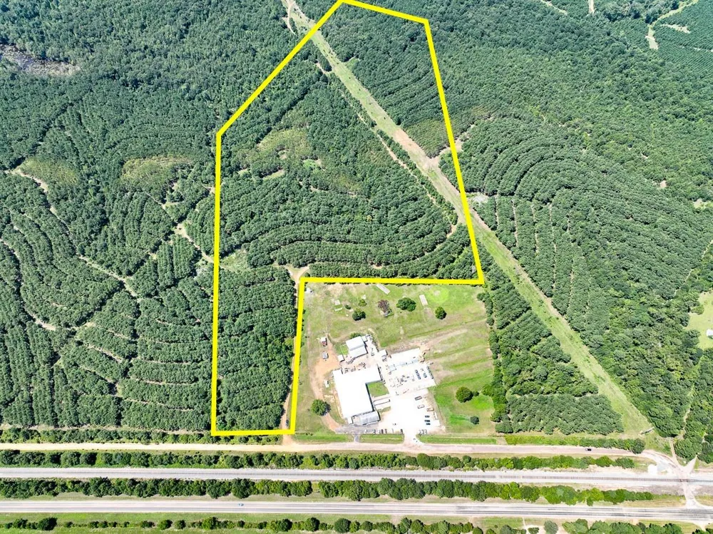 5 Highway 49 Avinger, TX 75630