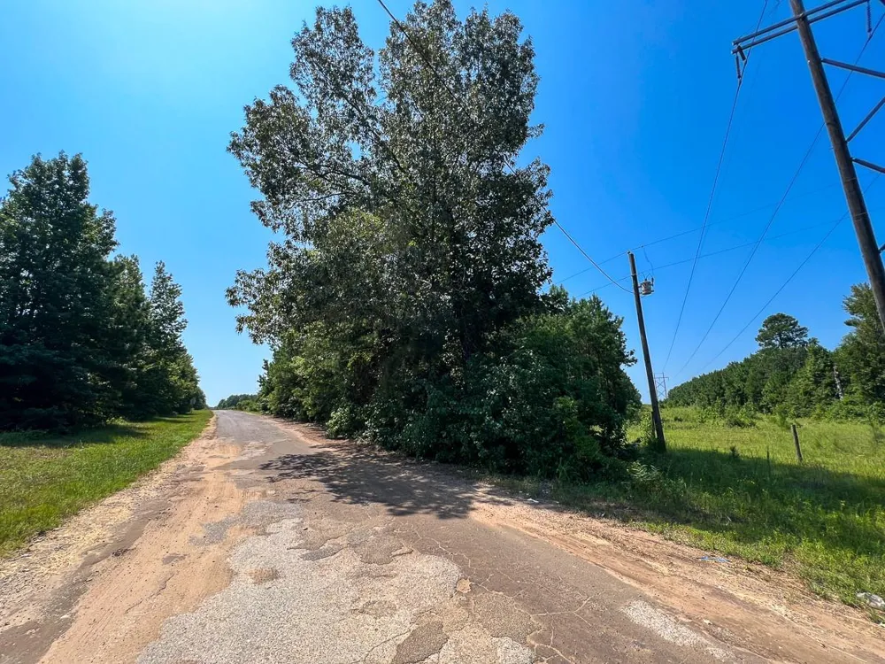 5 Highway 49 Avinger, TX 75630