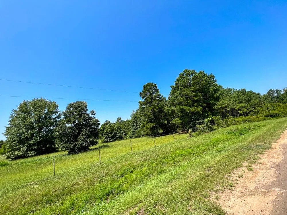 5 Highway 49 Avinger, TX 75630