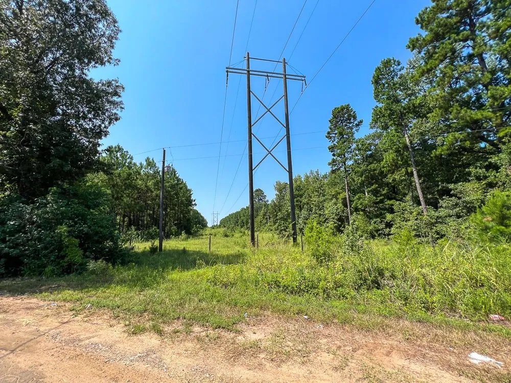 5 Highway 49 Avinger, TX 75630