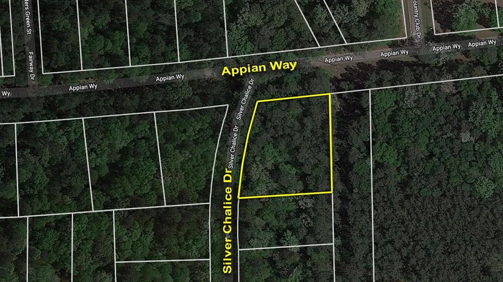 61 Appian Way New Caney, TX 77357