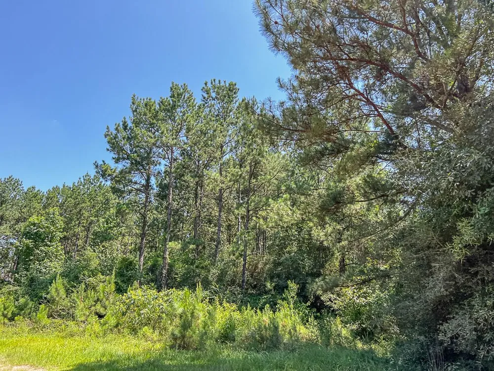 13 Joskey Dykes Rd Zavalla, TX 75980