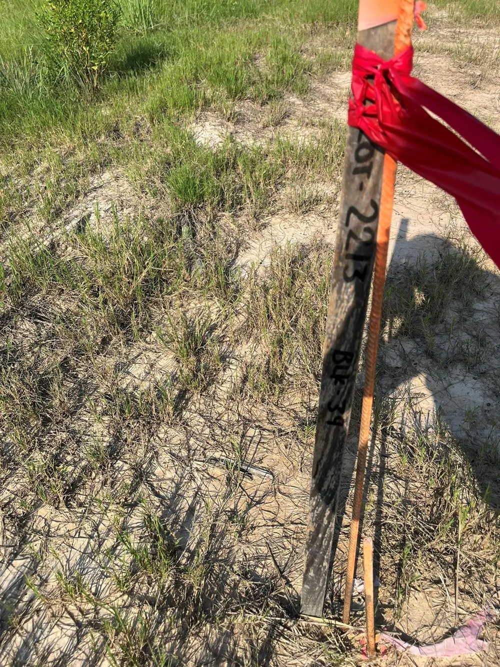 Road 5825 Cleveland, TX 77327