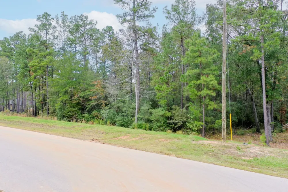 19 Windmill Road New Waverly, TX 77358