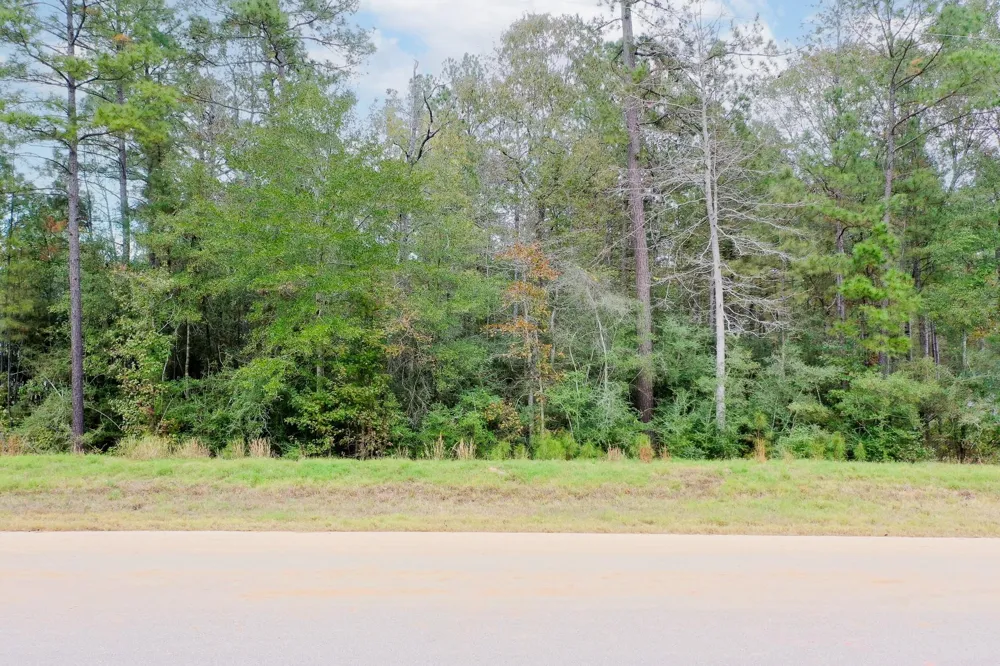 19 Windmill Road New Waverly, TX 77358