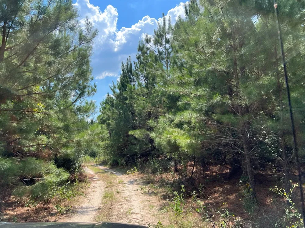 7 Fm 247 Huntsville, TX 77320