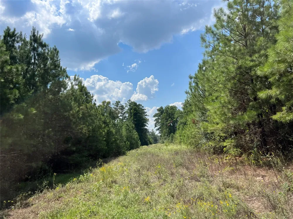 7 Fm 247 Huntsville, TX 77320