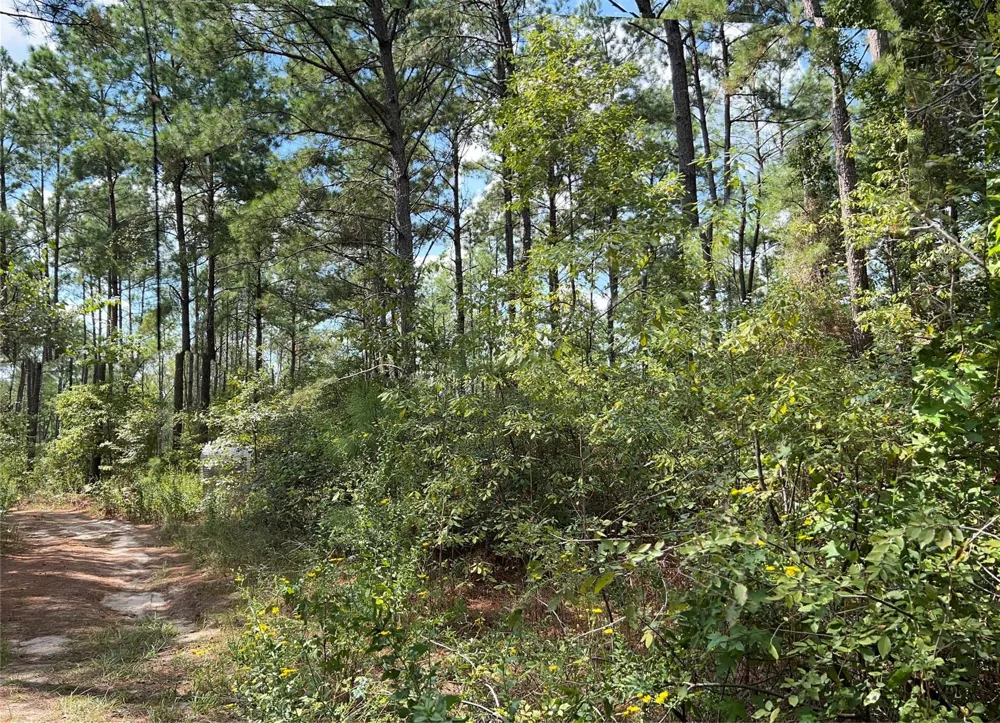 7 Fm 247 Huntsville, TX 77320