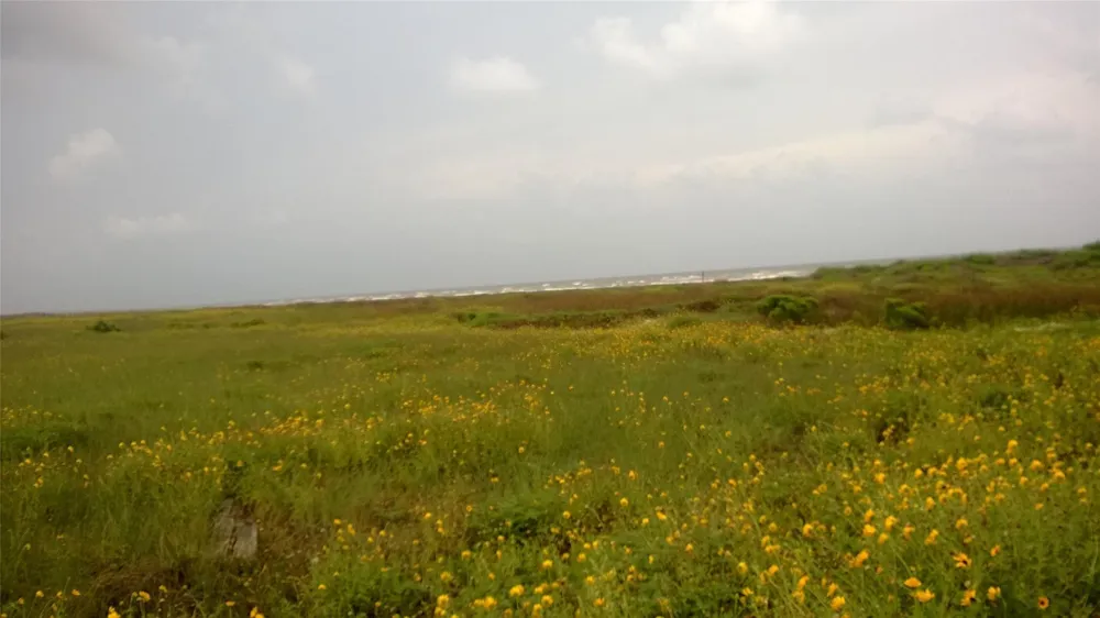 47 San Luis Pass Road Galveston, TX 77554