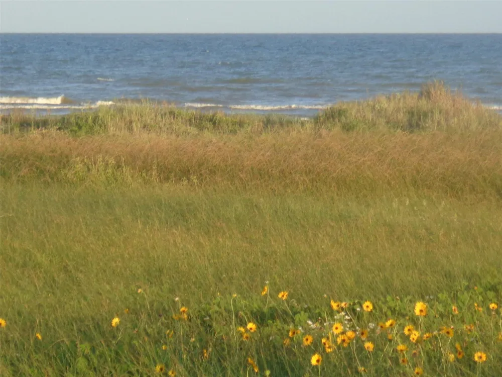 47 San Luis Pass Road Galveston, TX 77554