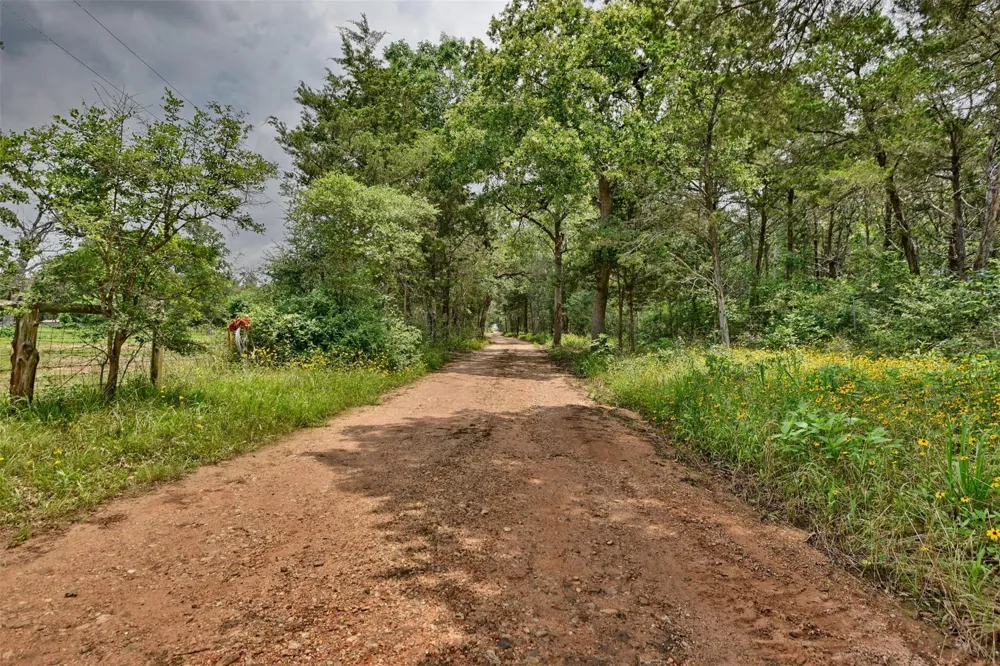 22305 Thistle Lane New Ulm, TX 78950
