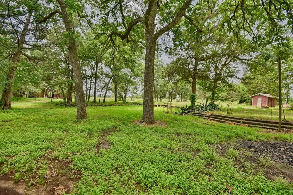 22305 Thistle Lane New Ulm, TX 78950