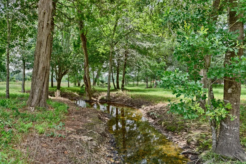 22305 Thistle Lane New Ulm, TX 78950