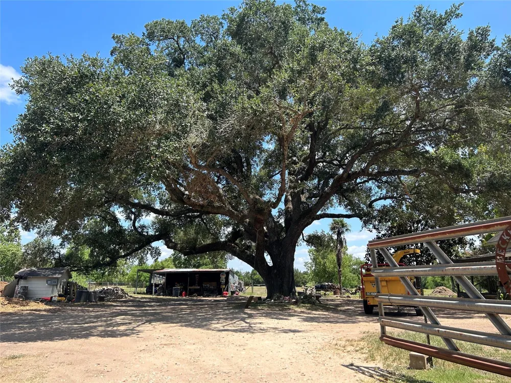 19522 Becker Road Hockley, TX 77447