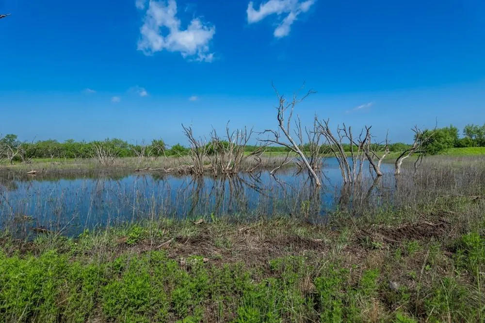 88291 Suaa Rd Well Lohn, TX 76852