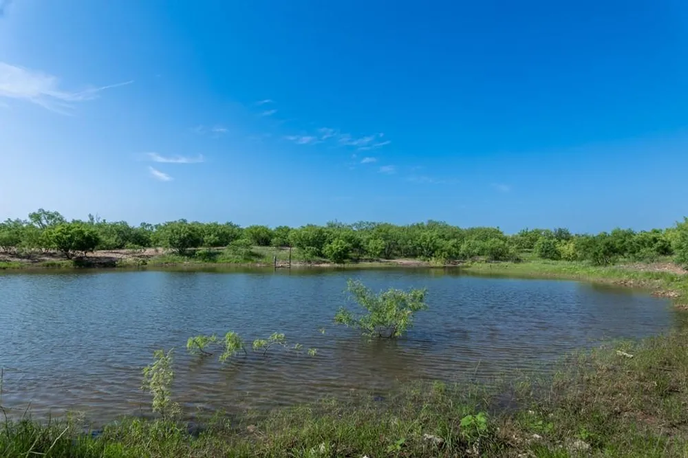 88291 Suaa Rd Well Lohn, TX 76852