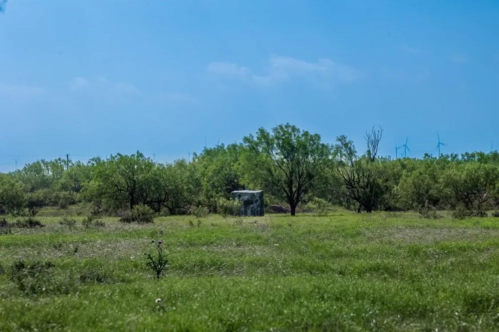 88291 Suaa Rd Well Lohn, TX 76852