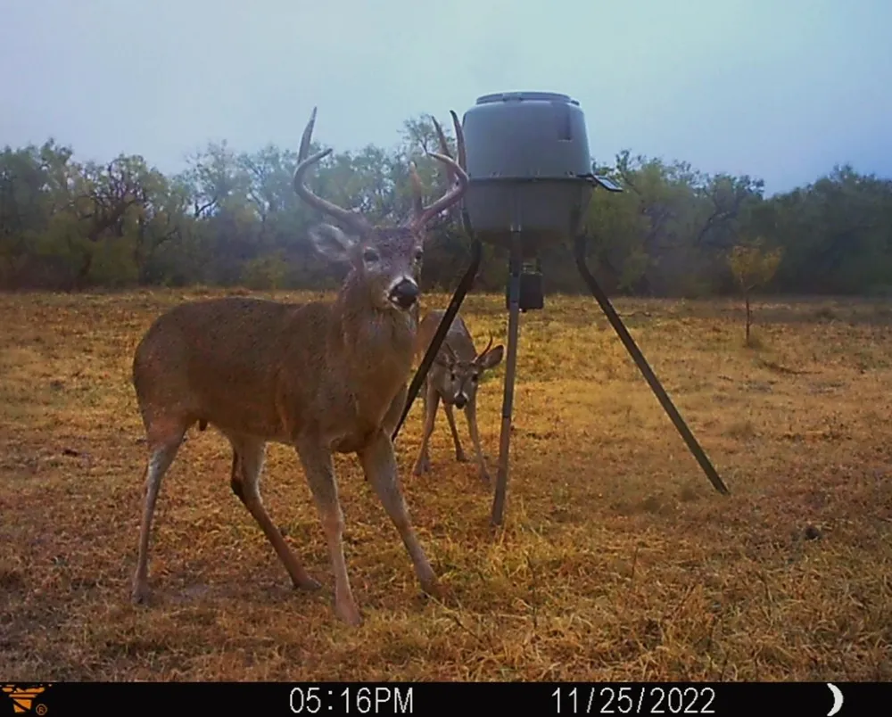 88291 Suaa Rd Well Lohn, TX 76852