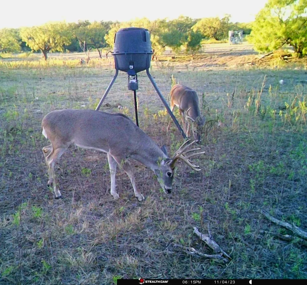 88291 Suaa Rd Well Lohn, TX 76852