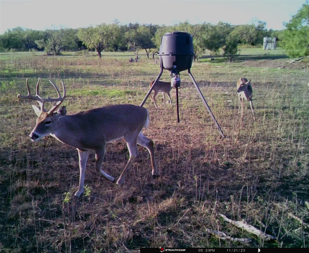 88291 Suaa Rd Well Lohn, TX 76852
