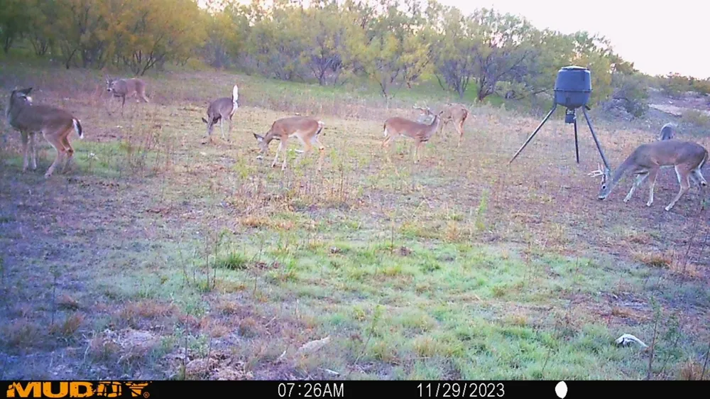 88291 Suaa Rd Well Lohn, TX 76852