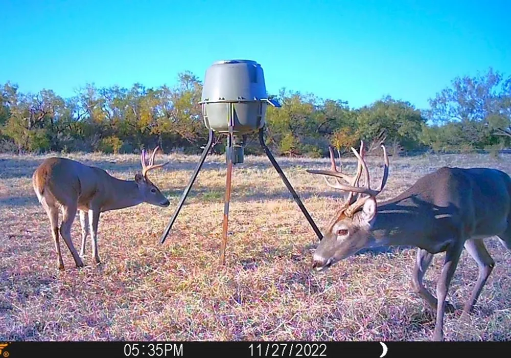 88291 Suaa Rd Well Lohn, TX 76852