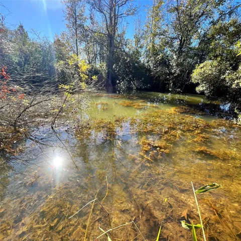 12124 County Road 122