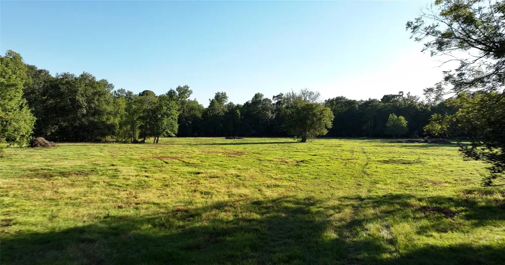 195 Fm 149 Rd Montgomery, TX 77356